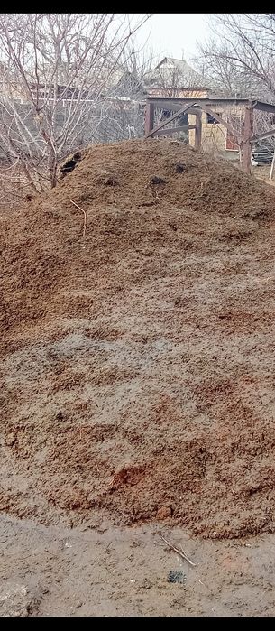 Навоз бесплатно. Көн тегін