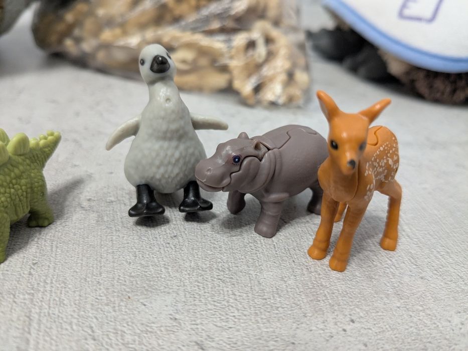 Киндер natoons  животные и динозавры