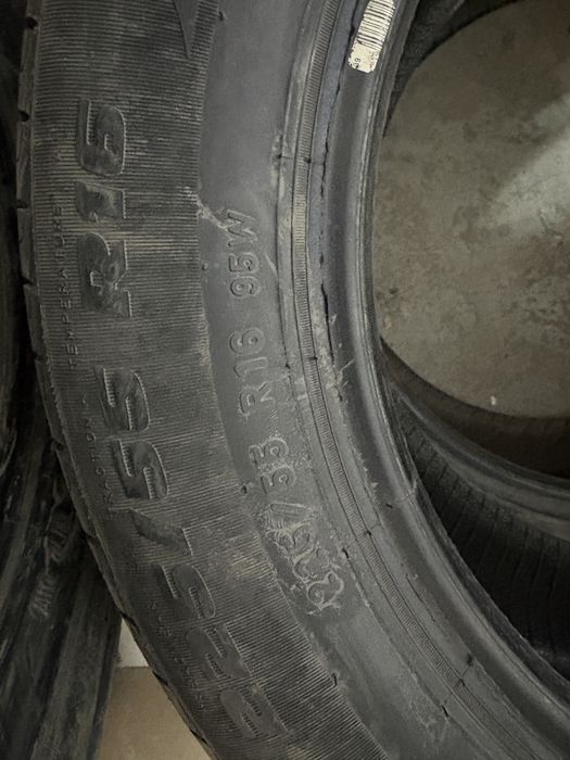 Продам без грыж без порезов