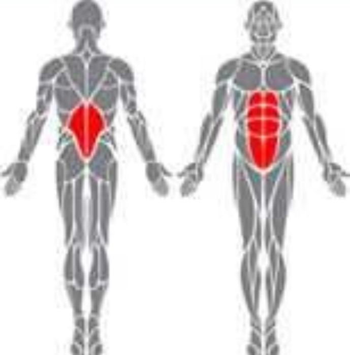 Хиперекстензия/Римски Стoл/Фитнес Уред/Чугунени Гири/Body's Sport