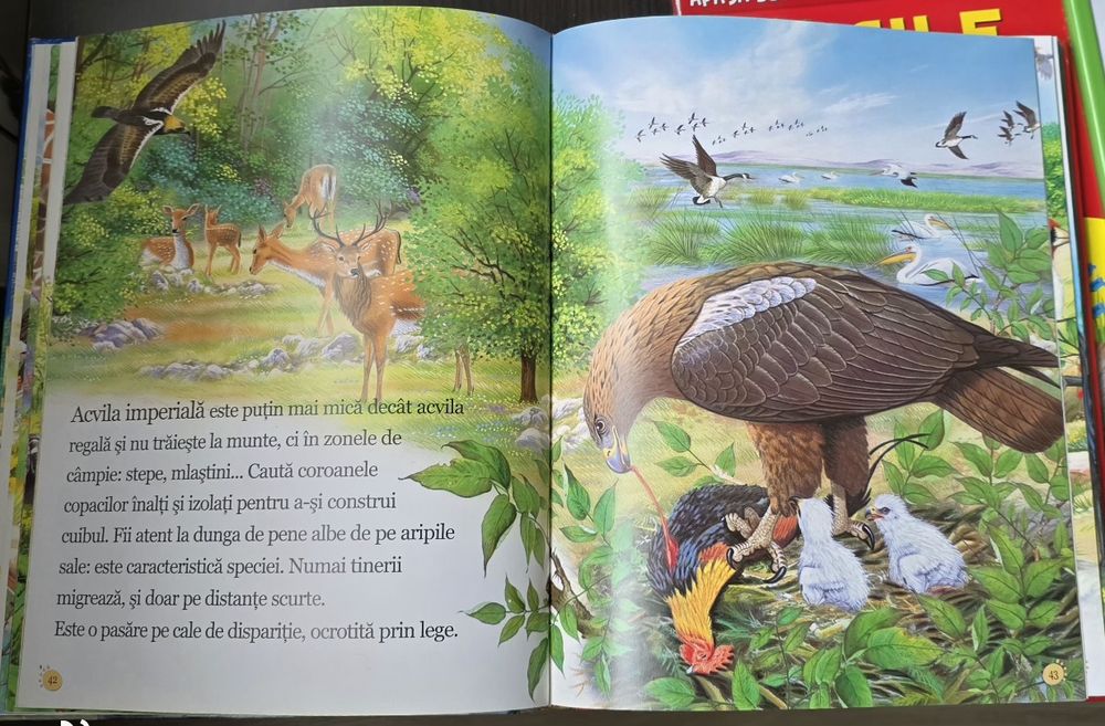 Carti cu animale - Vocile padurii cu sunete/Animale din toata lumea/Re