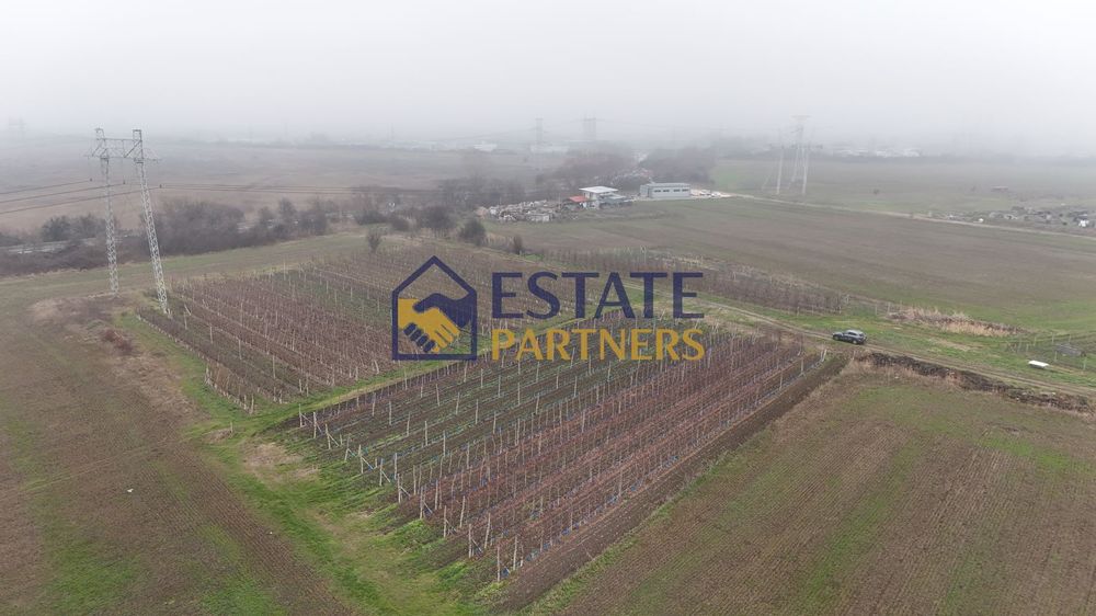 Парцел в Пловдив, област-с.Брестник площ 1401 цена 35025