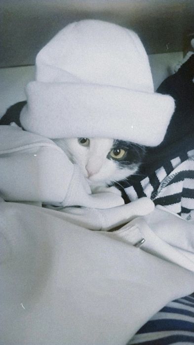 27апреля одам в хороших рук