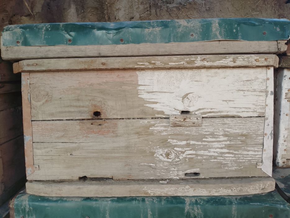 Asalari yashiklari sotiladi narxi 250000 kelshiladi koʻproq olinsa 200