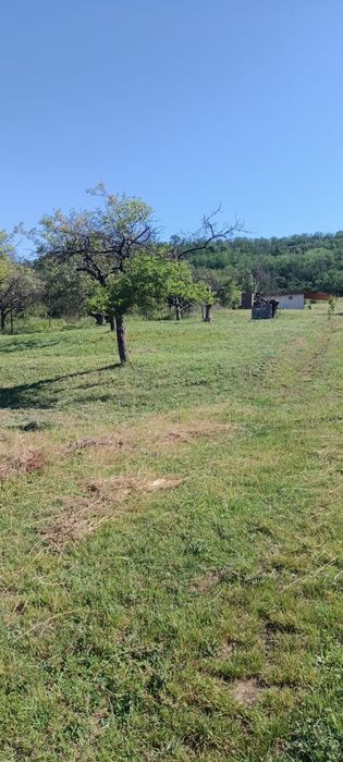 Teren extravilan