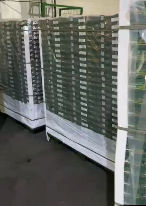 Свежая клубника Египет