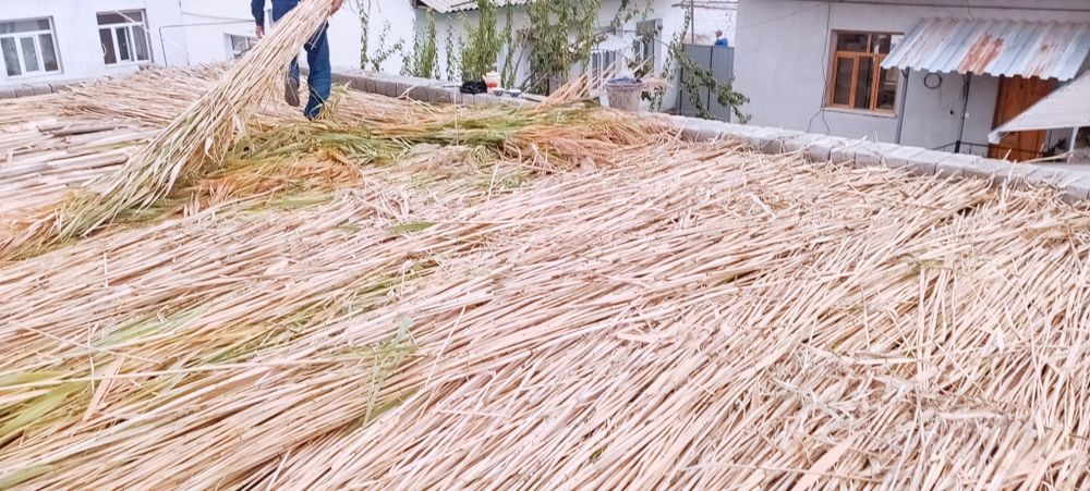 Ломбоз учун  камиш лобозга ишлатгани 1.5 кв 5 см 10 см калинликда йопа