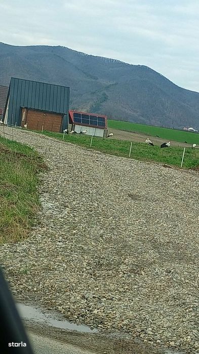 Teren intravilan DJ Bacau-Statiunea Sarata Bai