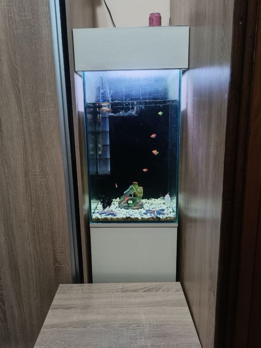 Akvarium sotiladi 100 litr