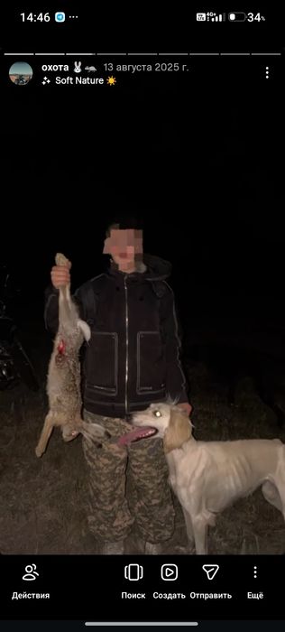 Осы каншык сатылады жасы 2де