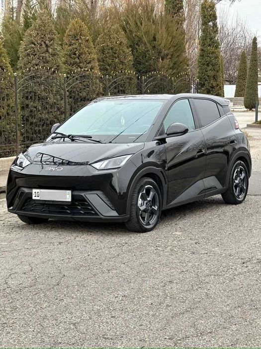 BYD Seagull , Naxt va halol nasiya