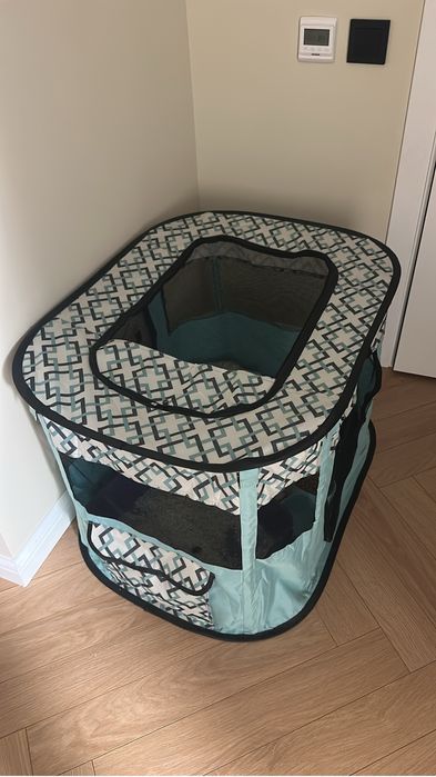 Шиншилла котята