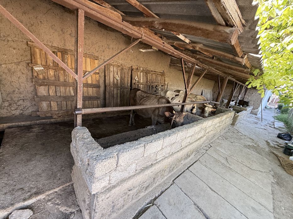 Участок  13 ст пригород, газ, свет и вода сентральная