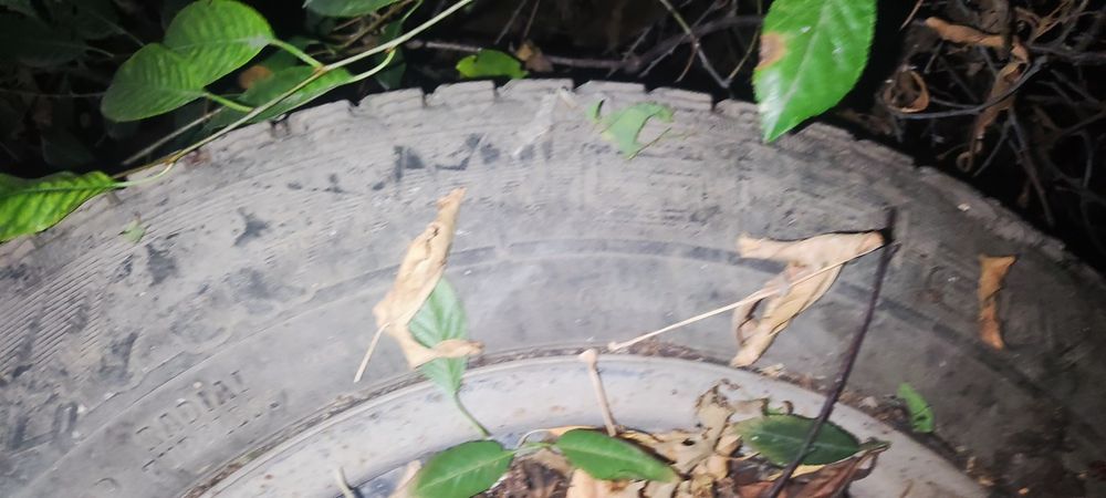 Продам шины с дисками е34