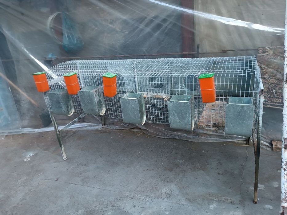 Quyonga uy Валер ин