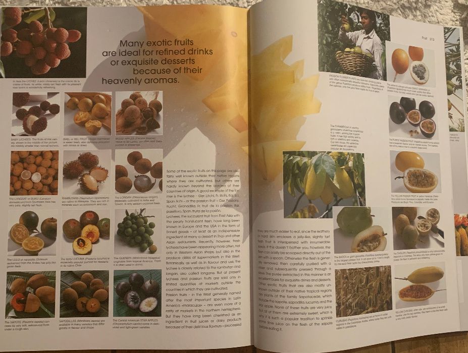 Album/Enciclopedie FOOD engl 38/30cm nefolosita carte bucate ingredien