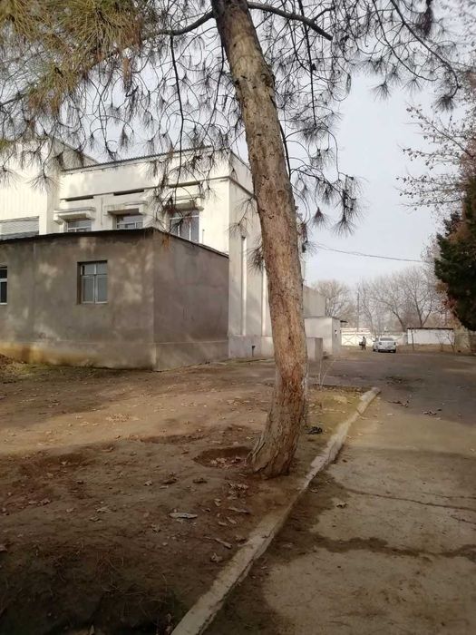 Продается Универсальный объект вдоль трасс м39 в 25 км от Ташкента