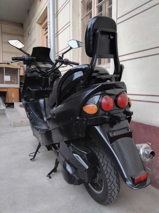 Irbis sukutir sirochna sotiladi