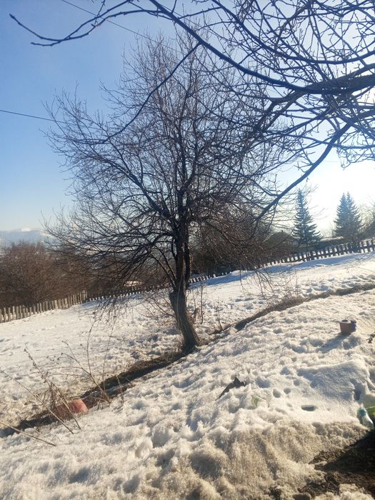 Продам дом район полярный