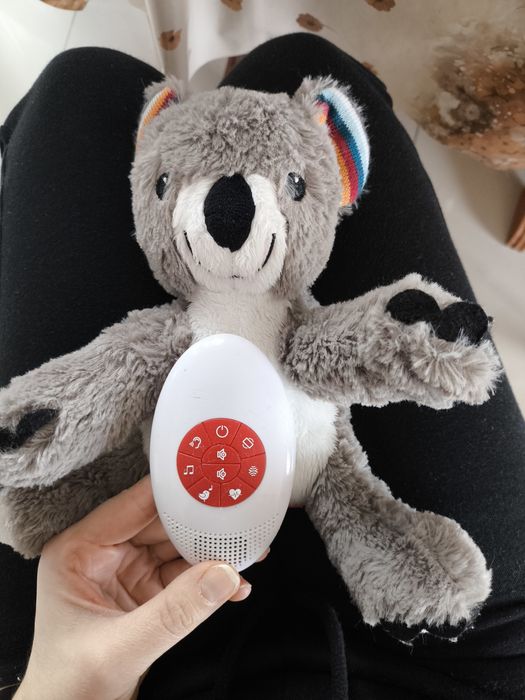 Музикална играчка Zazu