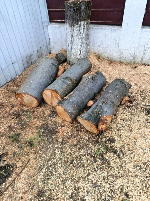 Lemne de foc ieftin