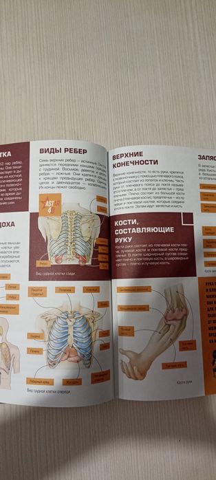 Книга "Детская энциклопедия 4D"