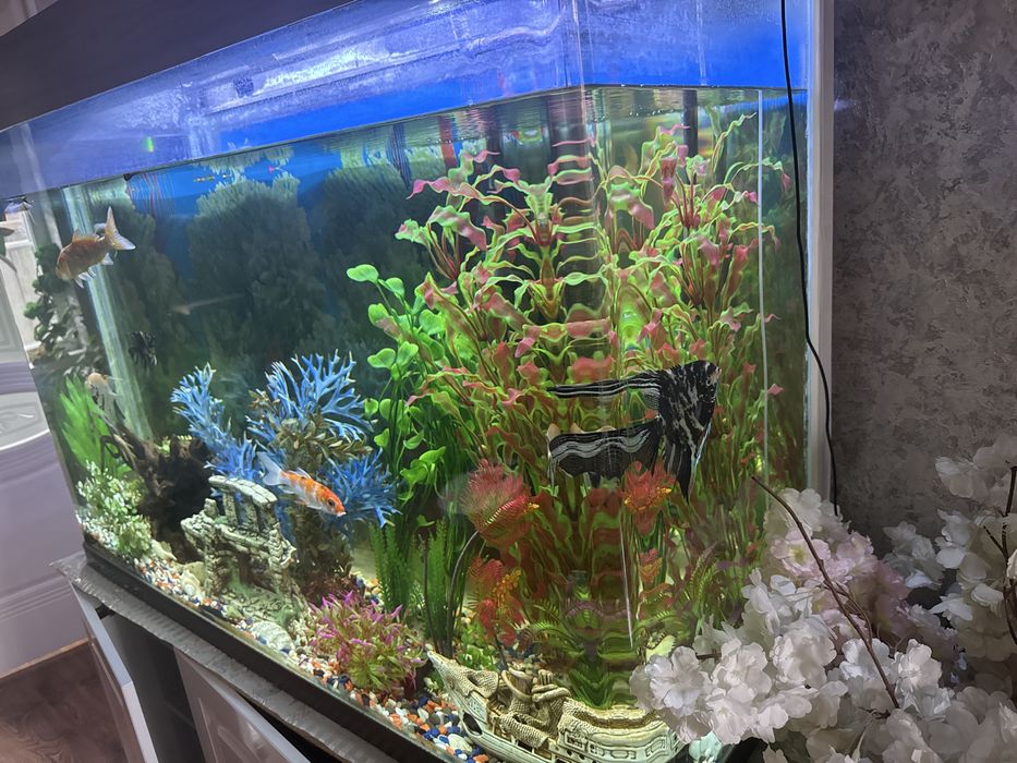 Продаемся аквариум 600 литров