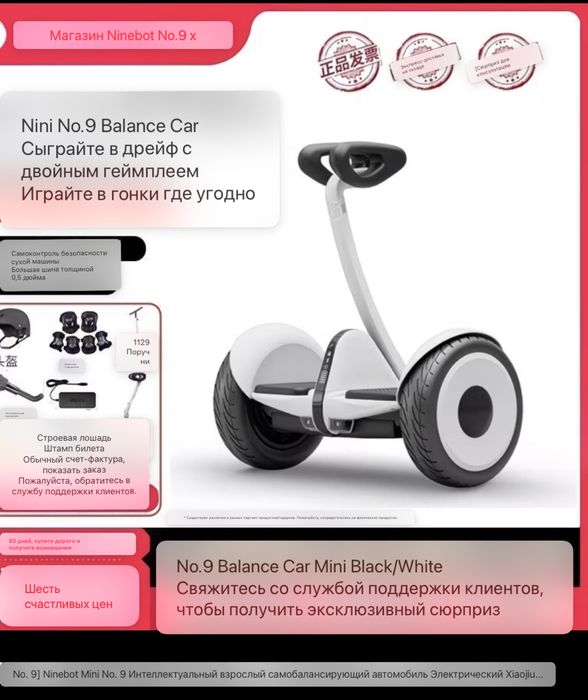 Segway Ninebot mini