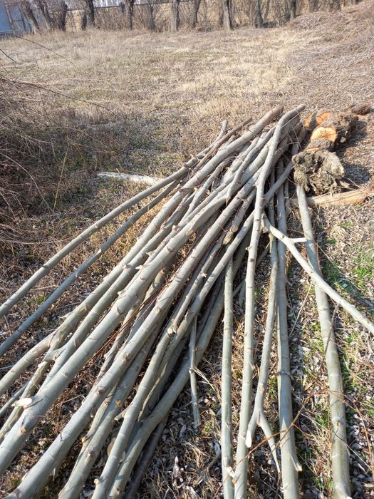 Толлар сотилади бешик учун