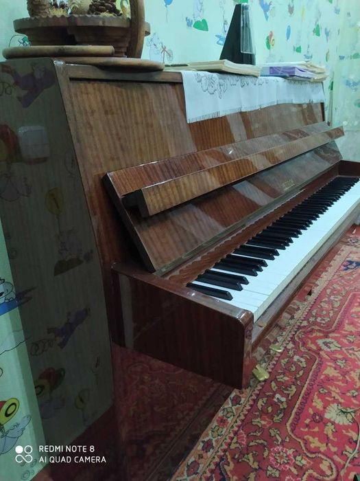 Фортепиано/Пианино    Петроф