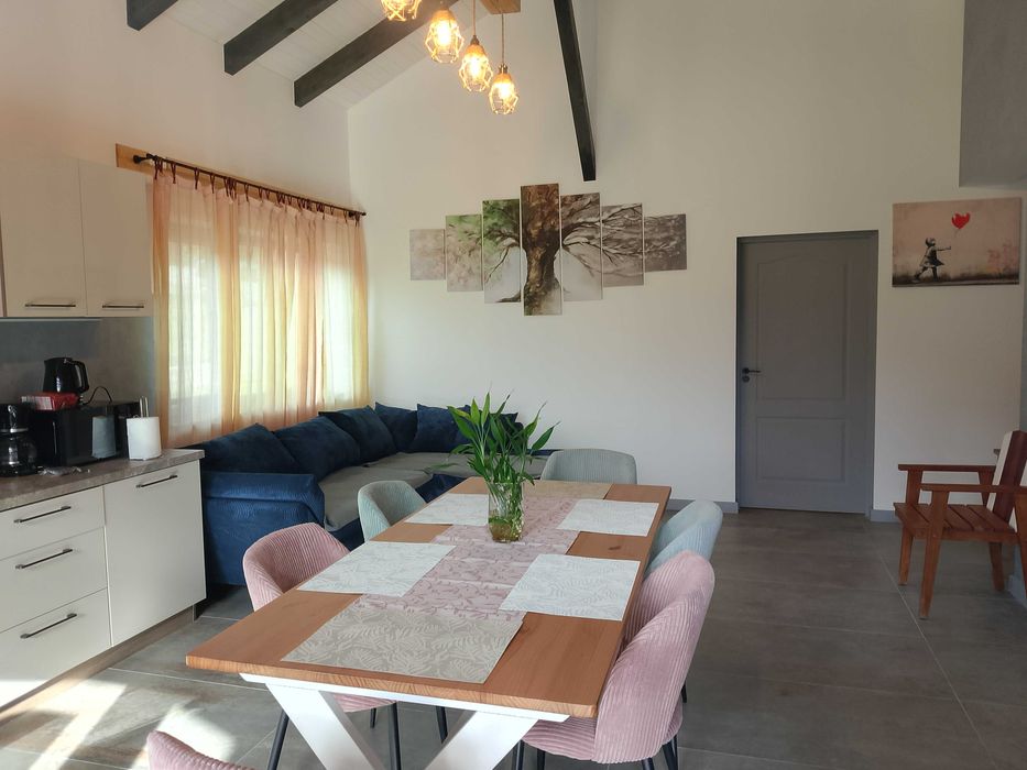 Luca's Chalet Ocnele Mari – Cabană Premium din Lemn, Închiriere Integrală