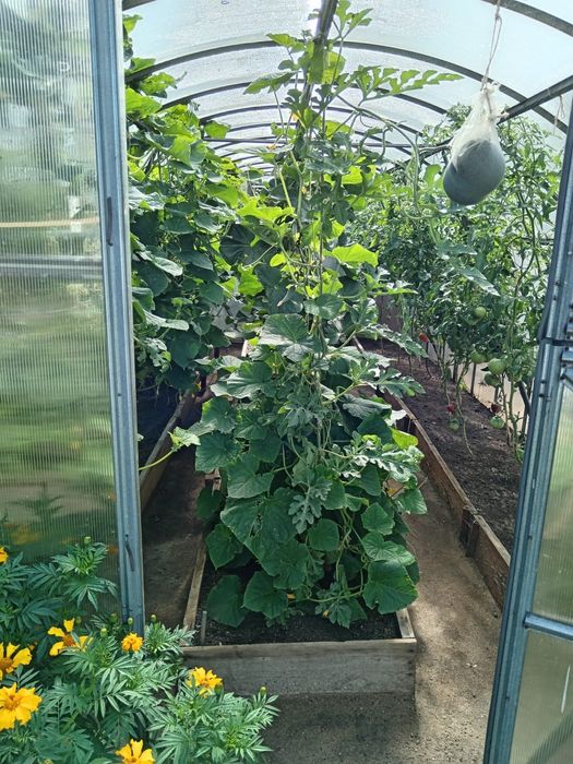 Продам дом в Бишкуле