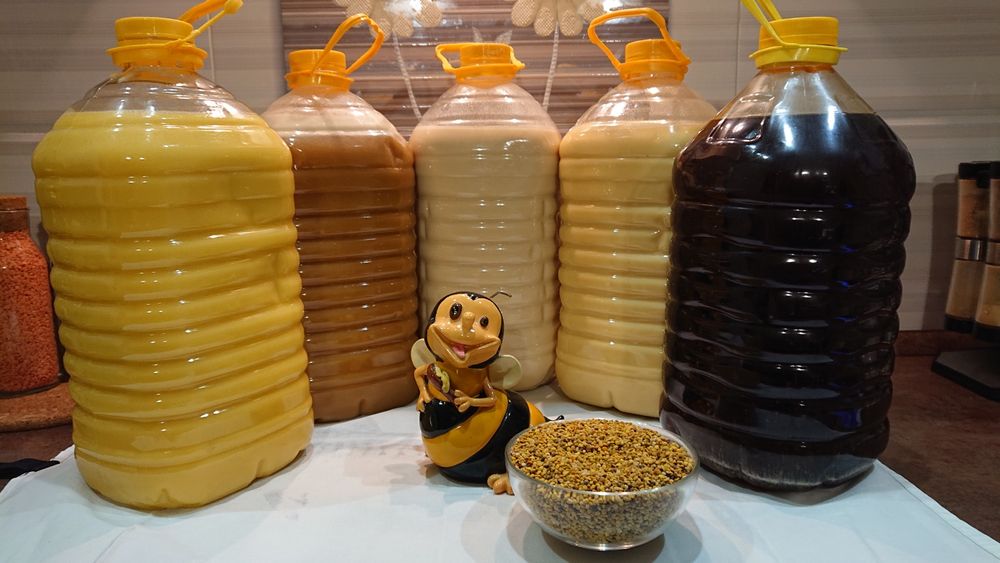 Мёд продам алтайский лесной оптом