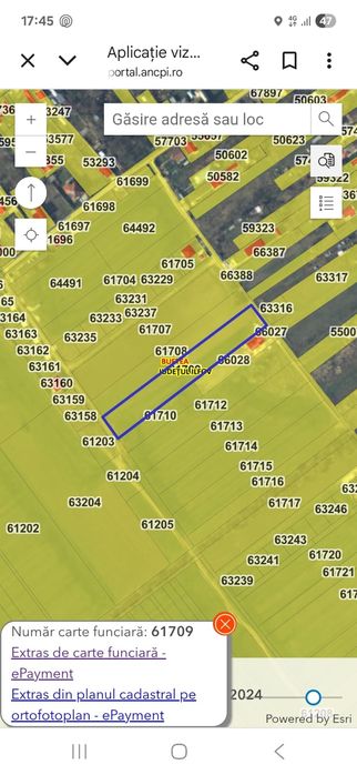 Vând teren în Buftea- Flamanzeni 2400mp sau 4800mp