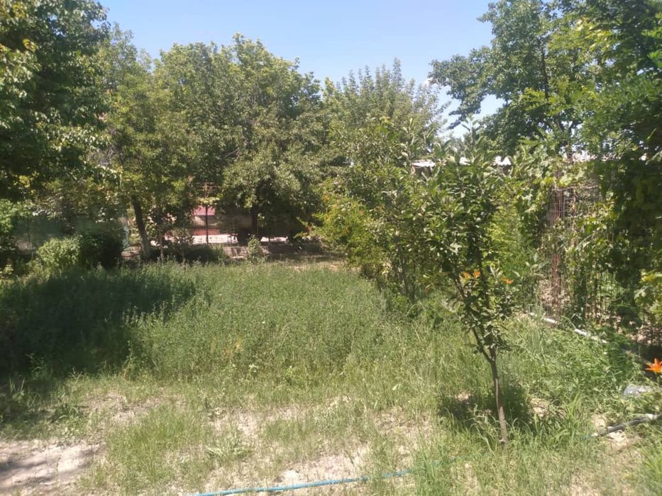 Дачный участок с домом