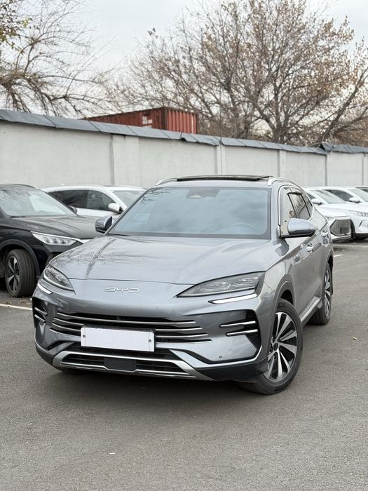 Chempion 2024 gibrit