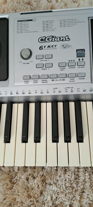 Pian electronic cu multe functii