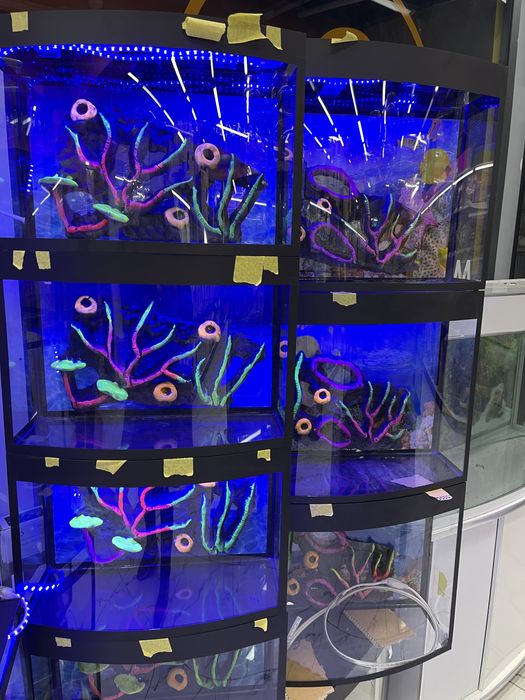 Akvarium New avalniy 20Litr