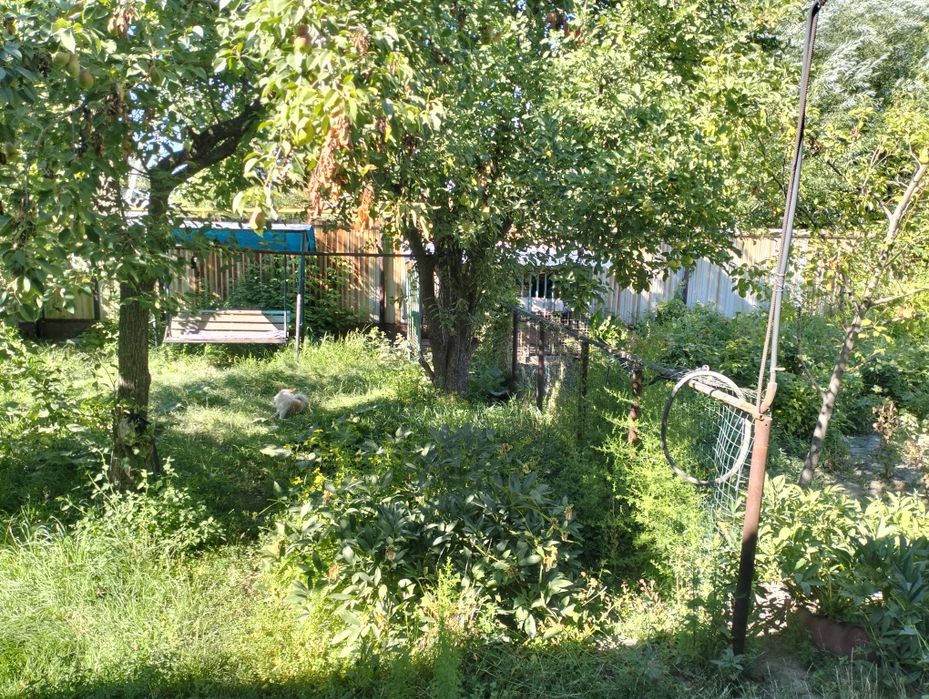 Дом частный в Текелях