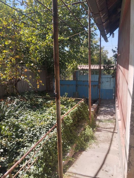 Дача в Паркенте. Своя
