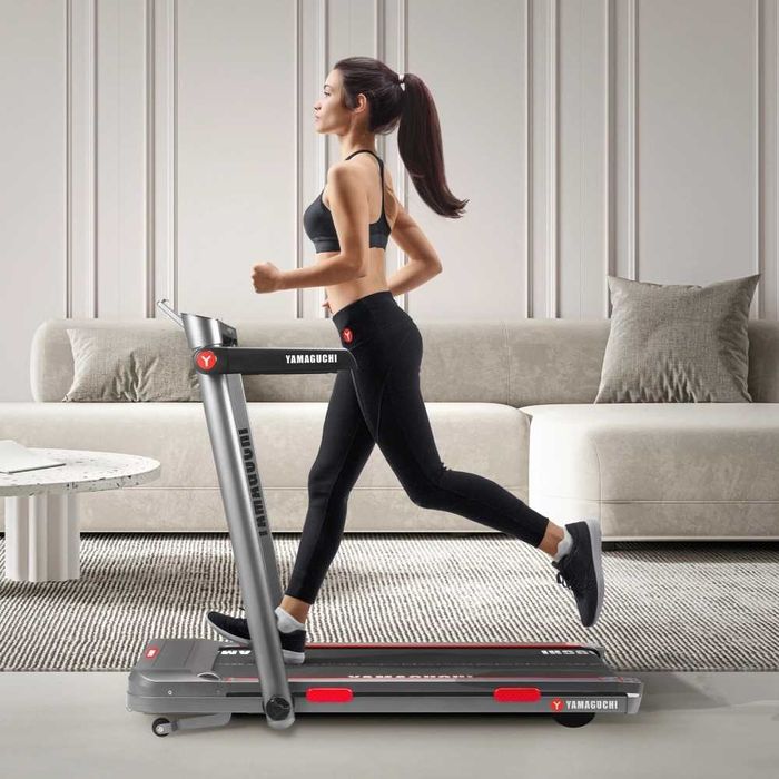 Беговая дорожка
Yamaguchi Home RACE Incline