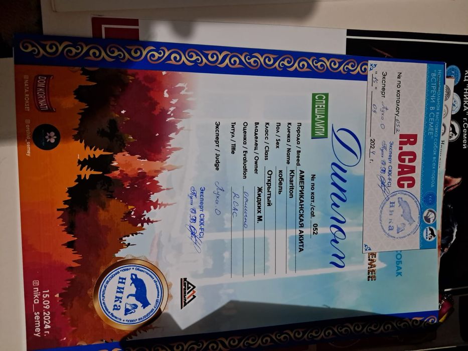 Породный кобель для вязки