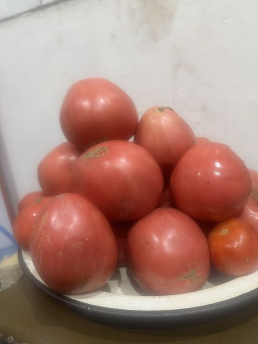 Продам дачный помидоры Бычье сердце