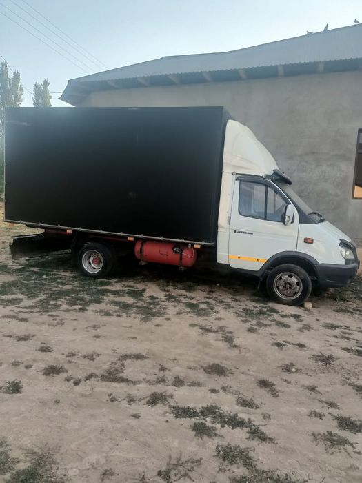 Газель бартавой.