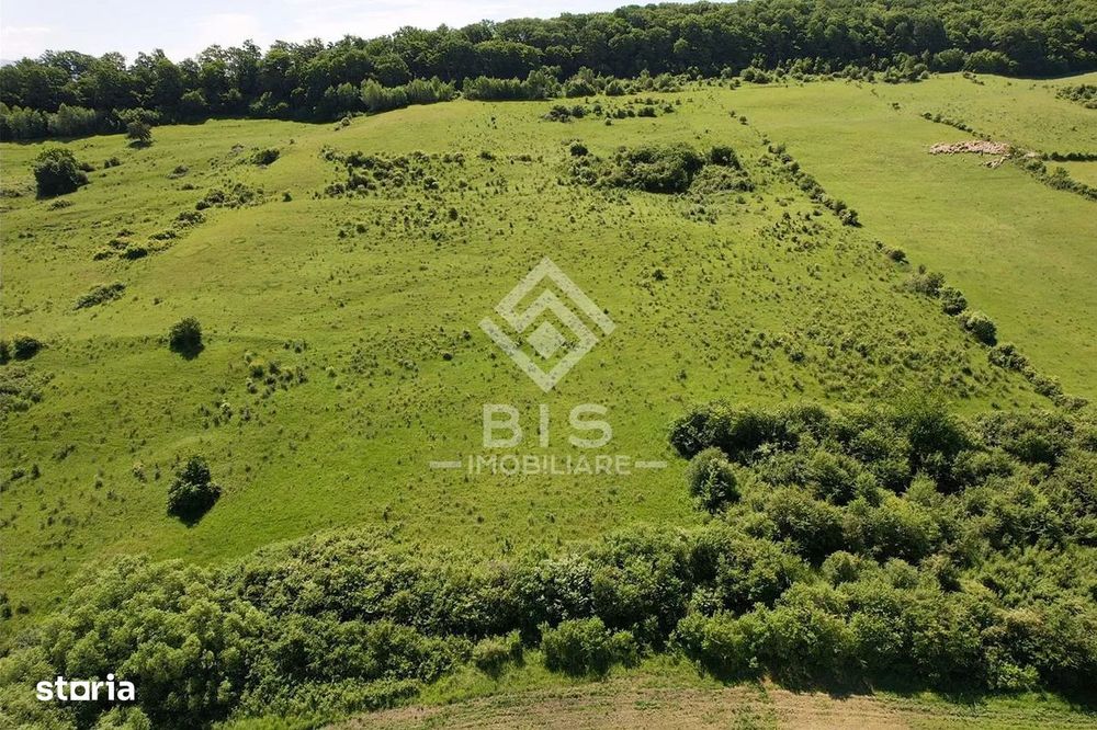 Teren Valea - Stanelor 21.600 mp