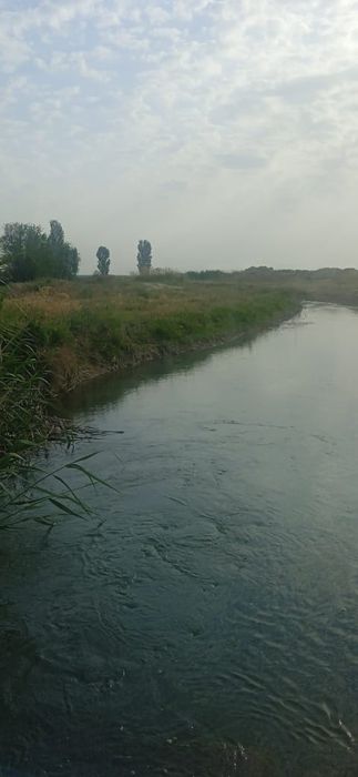 Фазенда сатылады