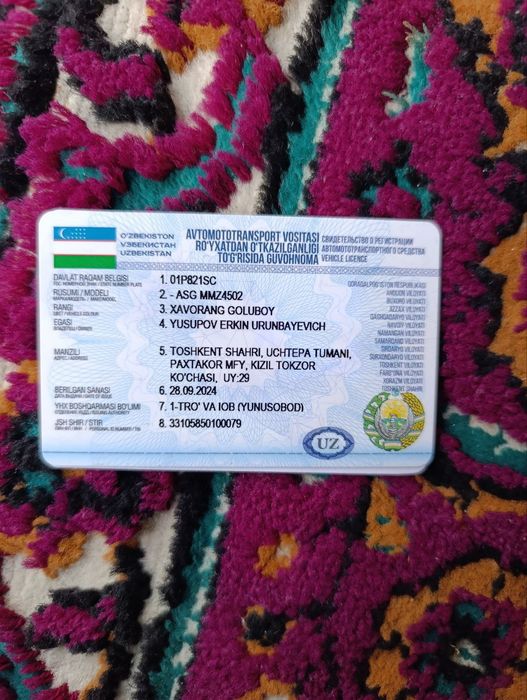 Zil sotiladi holati alo