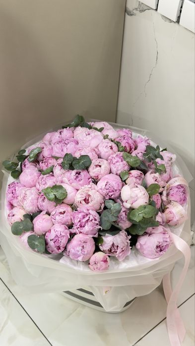 Свежие Пионы 51 шт