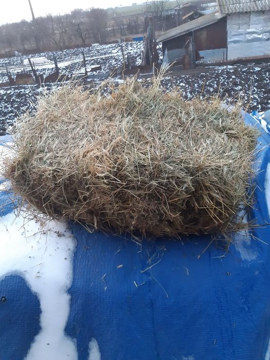 Vând baloti iarba cu lucernă