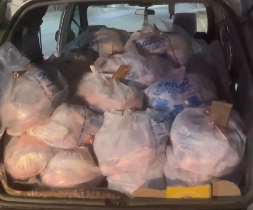 Ет, қазы тыгу, тойға ет.